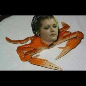 Meet your Posher, Shea